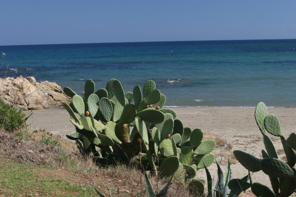 Residence Il Borgo Di Porto Corallo Villaputzu Luaran gambar